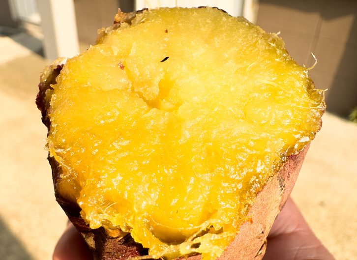 サウナでおいしい焼き芋が作れる? ホクホクに仕上がる意外な方法を発見!(後編)